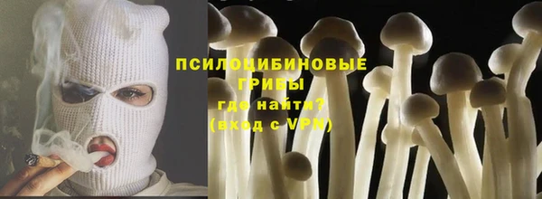 прущий лед Алексеевка