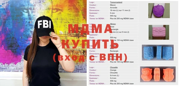 индика Алексин